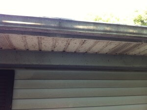 Gutter Brightening | Gutter, fascia and soffit cleaning in Tennessee | Blueline Pressure Washing